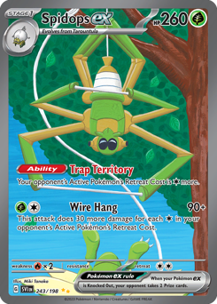 243